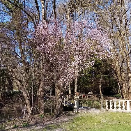 Oda ve Kahvaltı Domaine De Pladuc Lachaise