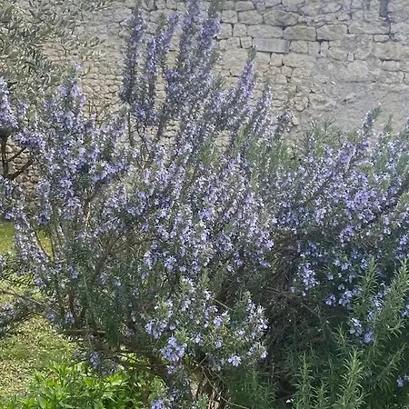 Domaine De Pladuc
