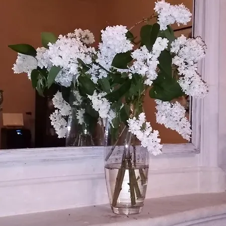 Domaine De Pladuc Bed & Breakfast