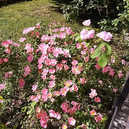 Bed & Breakfast Domaine De Pladuc Lachaise